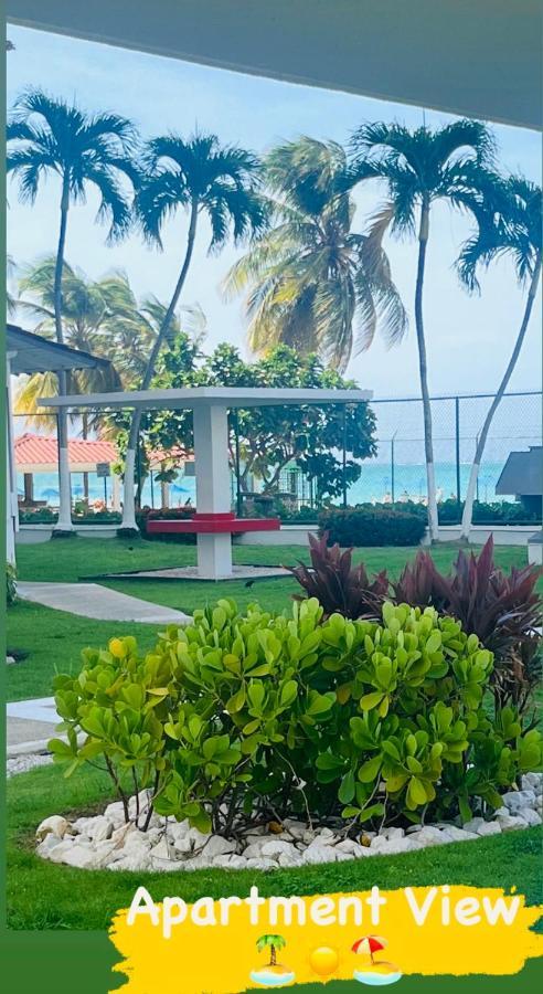 Isla Verde Frente A La Playa Y Piscina, Centrico Y Accesible San Juan Eksteriør bilde